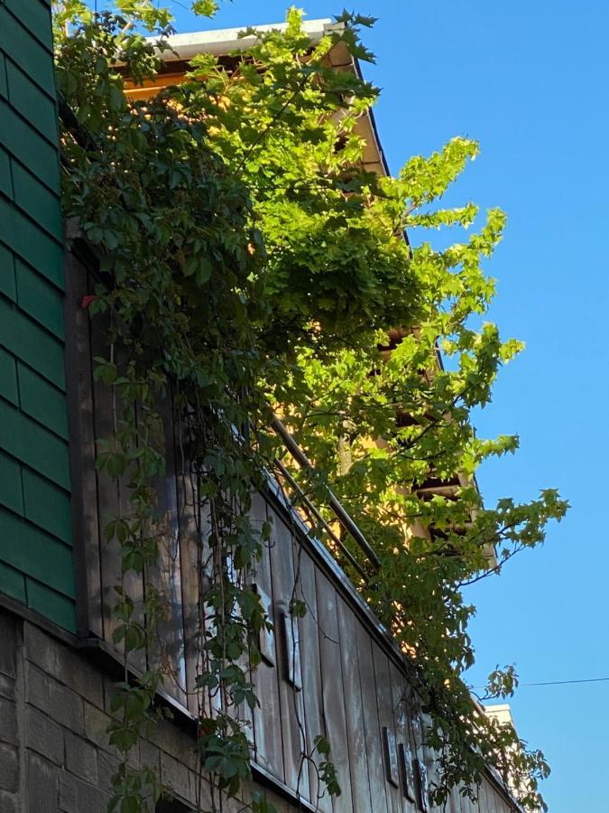 Hotel Zillners Einkehr *** Altheim Extérieur photo